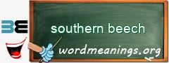 WordMeaning blackboard for southern beech